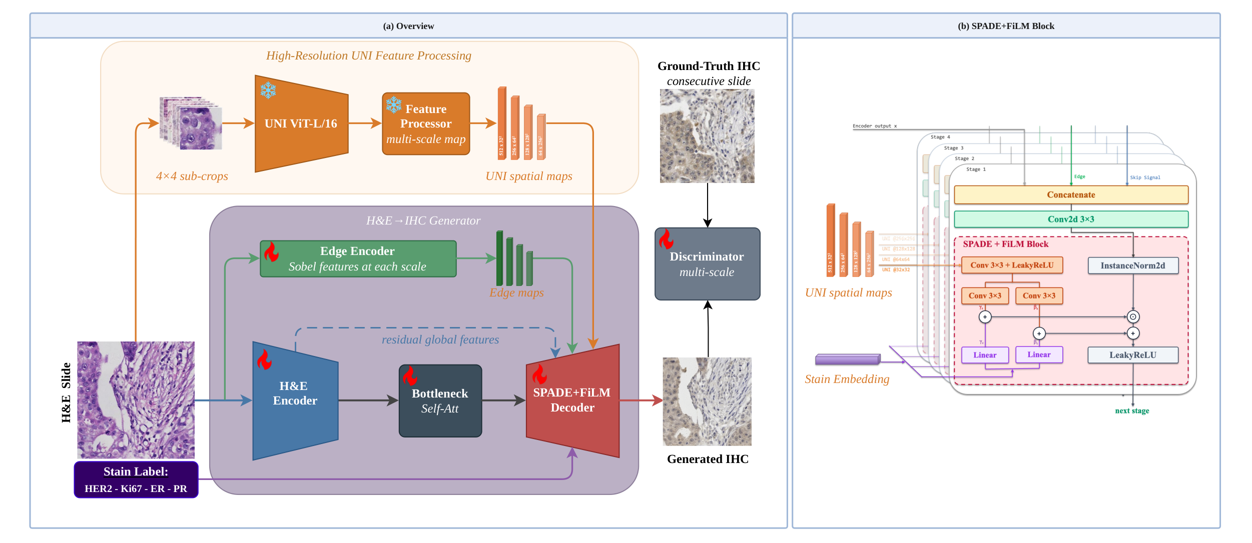 UNIStainNet architecture