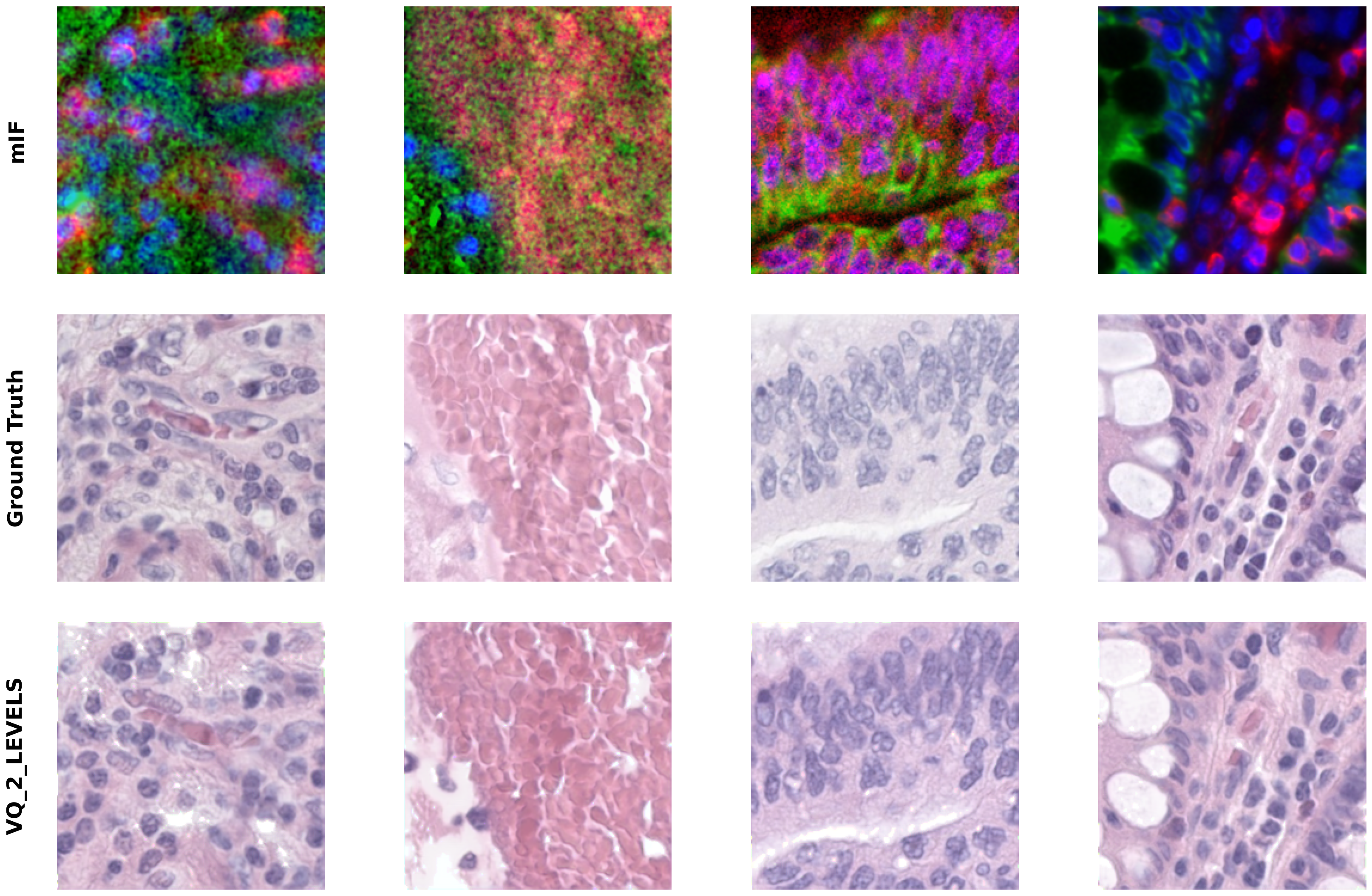 Cross-Domain Image Synthesis