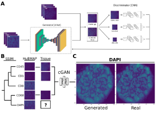 Publication 1